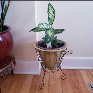 Vintage Antique Tripod  Faux Brass Plant Stand with Acrylic Plant Pot